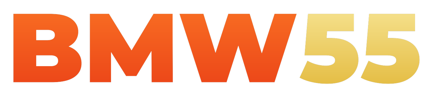 www.bmw55 Logo